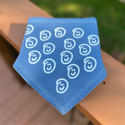 SALE: Smiley Bib